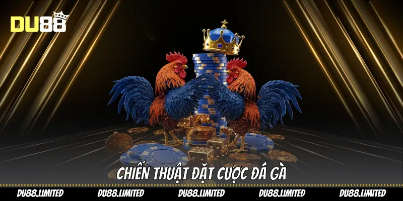 Đá Gà Du88: Bí Quyết Thắng Lớn Mỗi Trận Cược Chiến thuật đặt cược đá gà