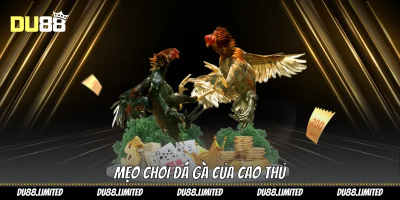Đá Gà Cựa Dao: Làm Chủ Mọi Trận Chiến Kê Du88 Mẹo chơi đá gà của cao thủ
